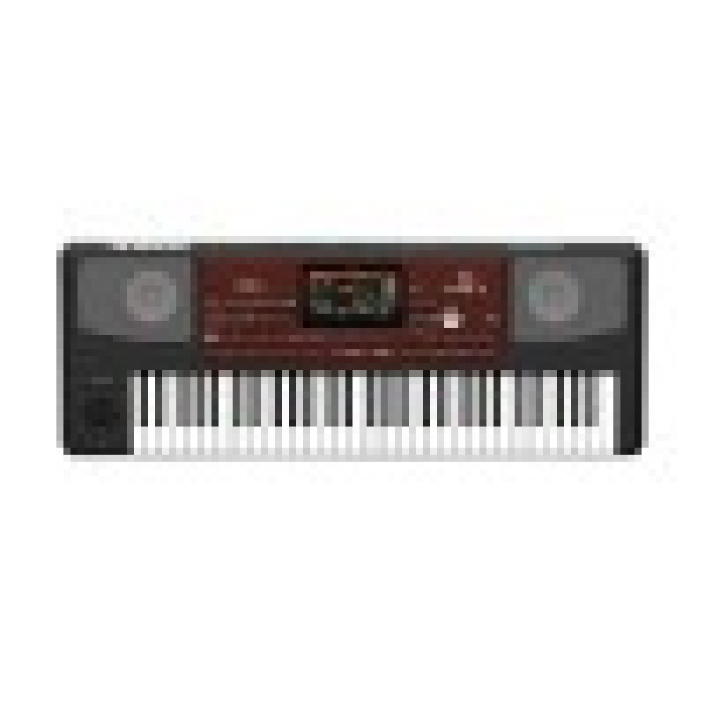 Korg, Arranger Keyboard PA-700