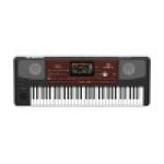 Korg, Arranger Keyboard PA-700