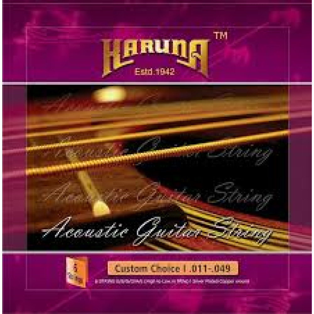 Karuna Acoustic Guitar Stainless Steel Strings (Pack Of 6)