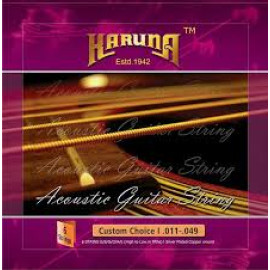 Karuna Acoustic Guitar Stainless Steel Strings (Pack Of 6)