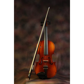 Violin, Carrying Case,  Rosin, Bow- VIOLIN SET