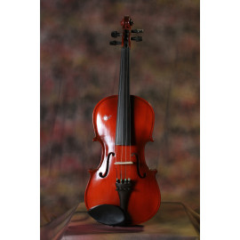 Violin 4/4,Professional's,With Rosin and Bow & Hard Case