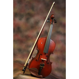 Violin 4/4, Professional's Violin W/ Hard Case, Rosin and Bow