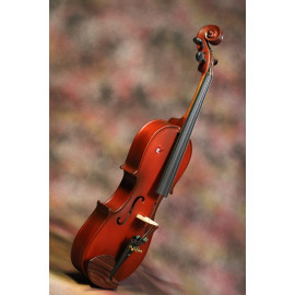 Violin 4/4, Professional's Violin W/ Hard Case, Rosin and Bow