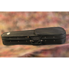 Violin, Carrying Case,  Rosin, Bow- VIOLIN SET