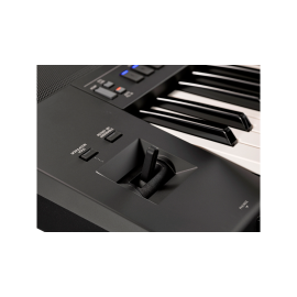 Yamaha PSR-SX900 61-Key High-Level Arranger Keyboard